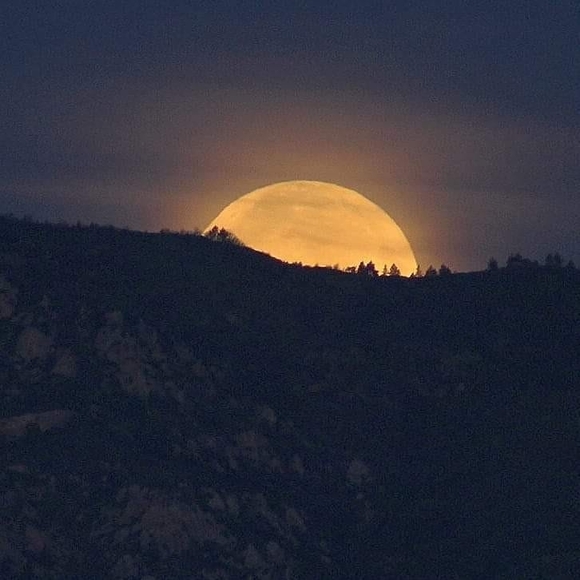 Meet your Posher, Amiee - Picture 1 of 1